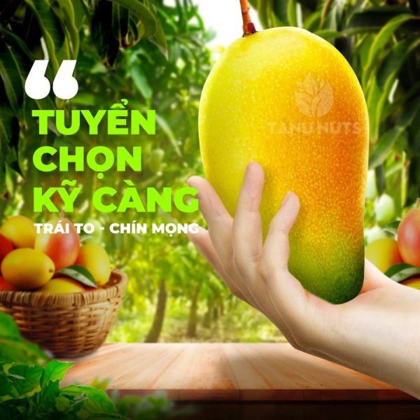Xoài sấy dẻo - Ảnh 2