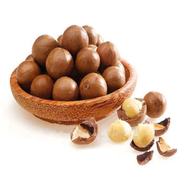 Hạt mắc ca Tây Nguyên - Ảnh 4