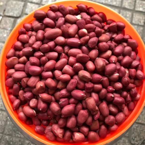 Lạc đỏ quê - Ảnh 3