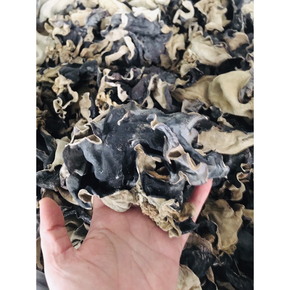 Mộc nhĩ - Ảnh 2