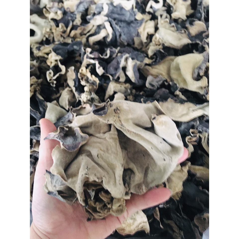 Mộc nhĩ - Ảnh 3